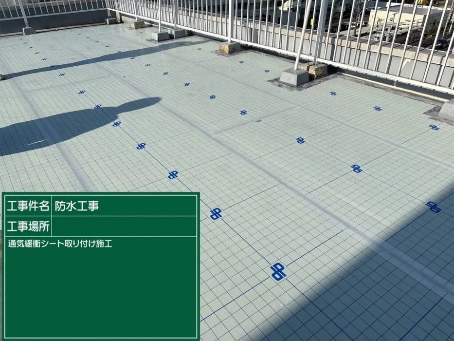 画像244
