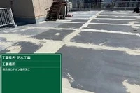 画像245