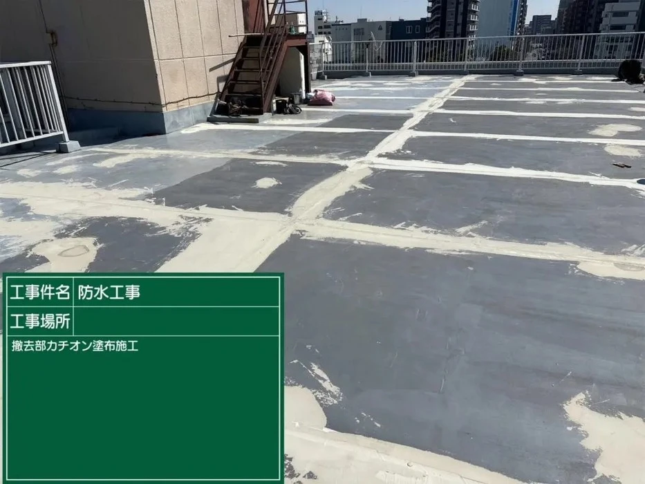 画像245