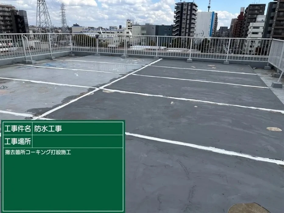 画像246