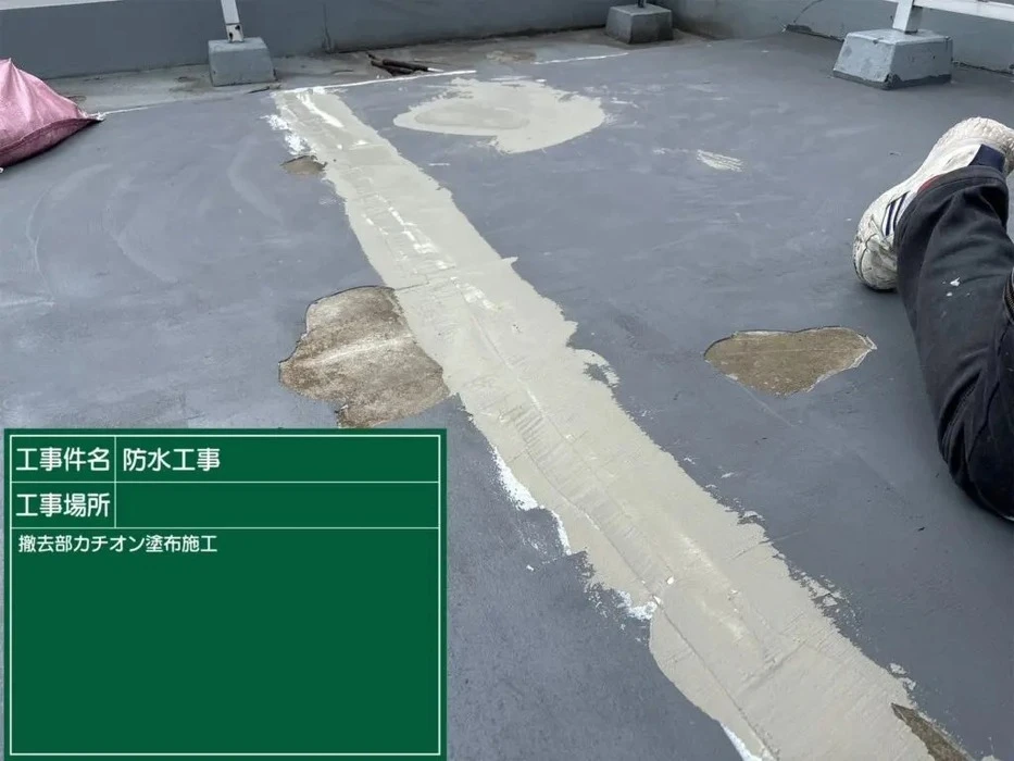 画像247