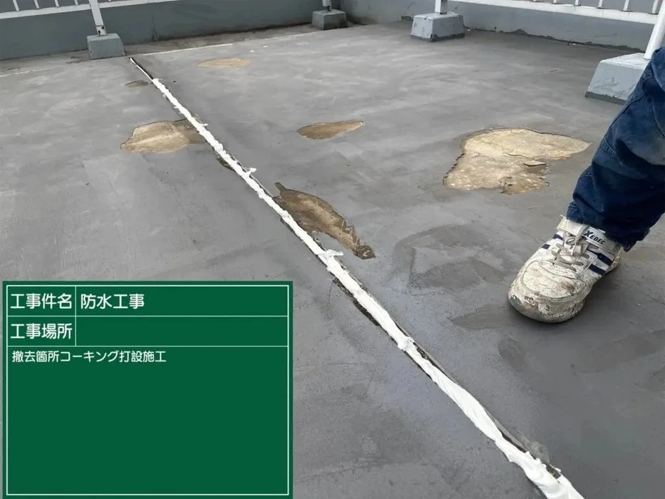 画像249