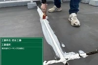 画像250