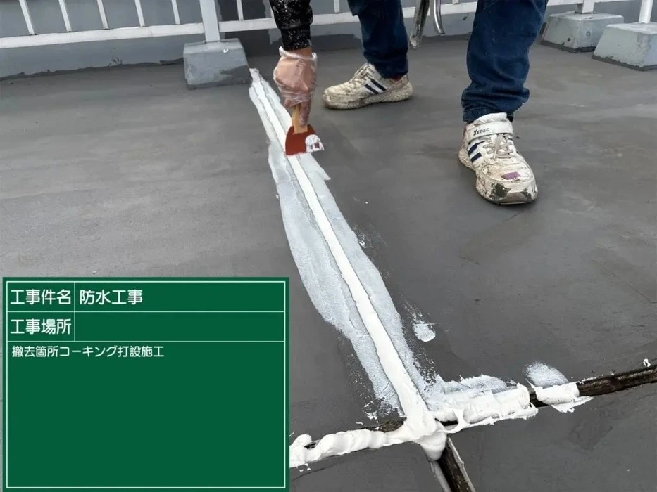 画像250