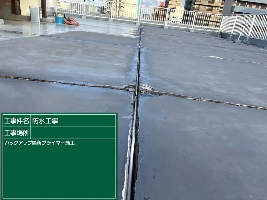画像251