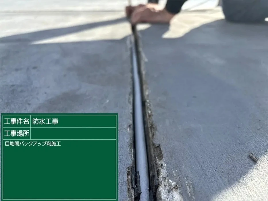 画像253