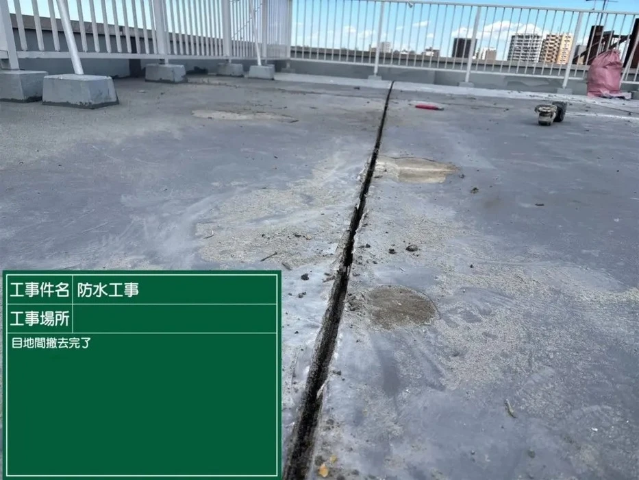 画像256