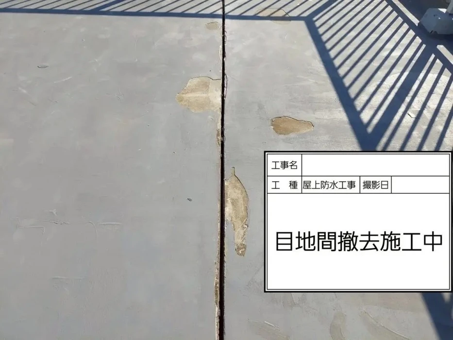 画像294