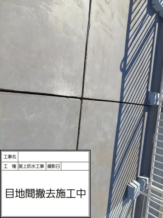 画像295