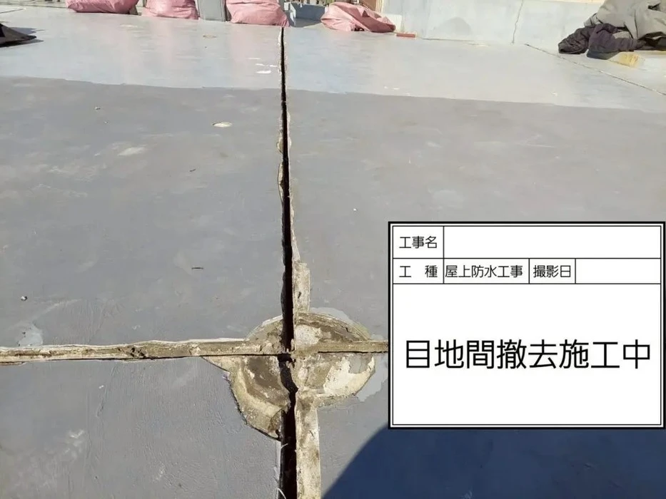 画像296