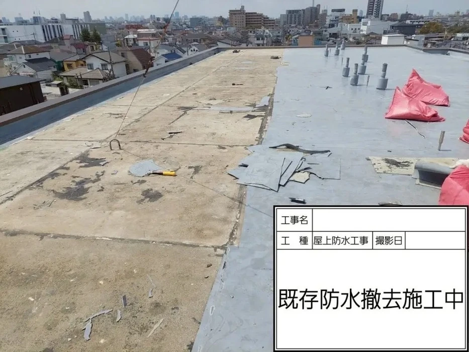 画像361