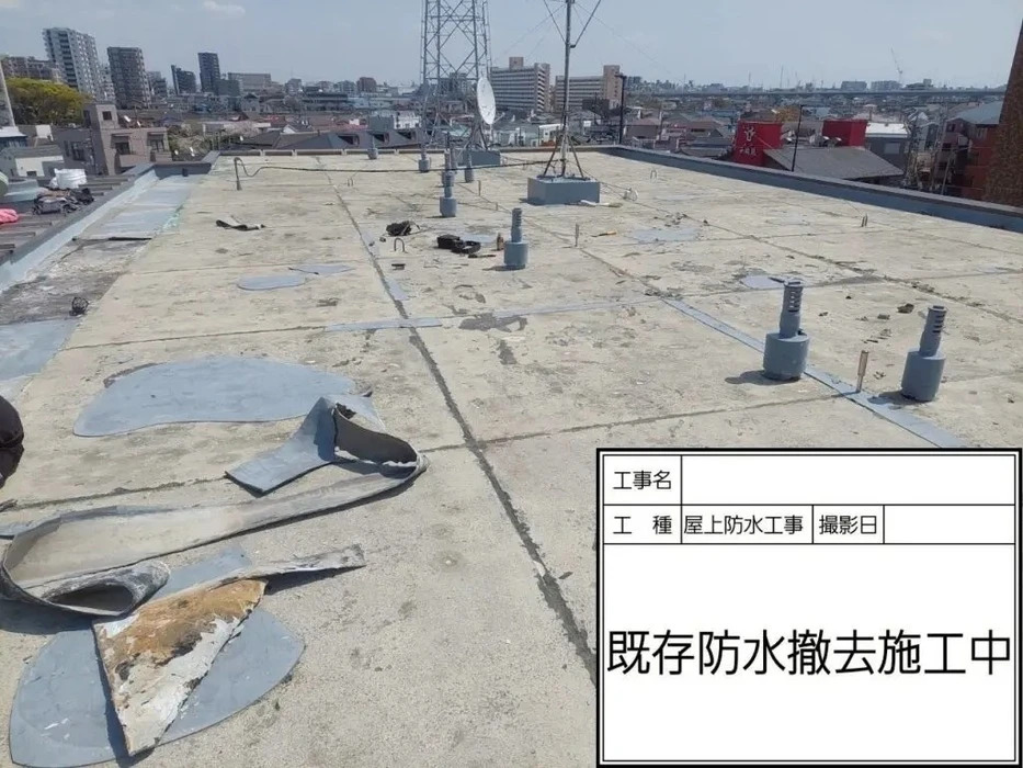 画像362