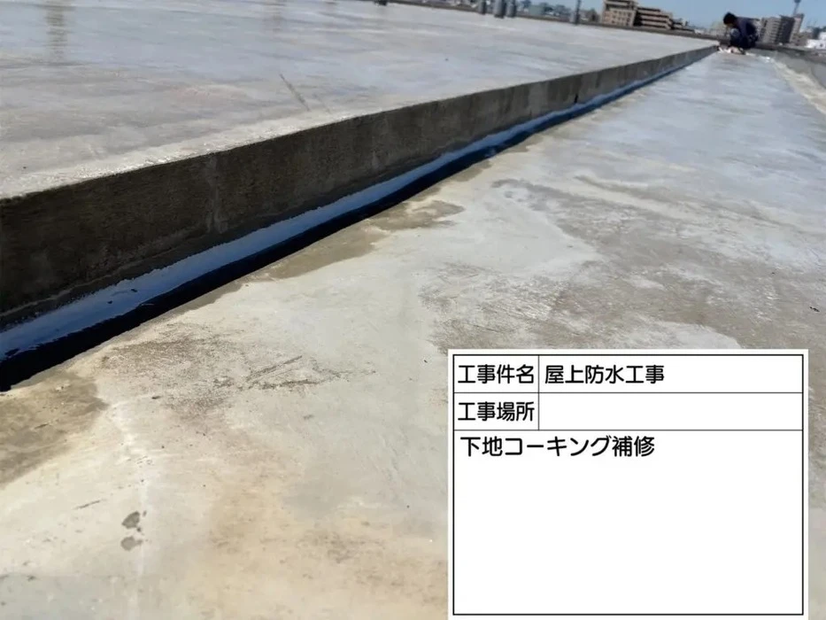 画像367