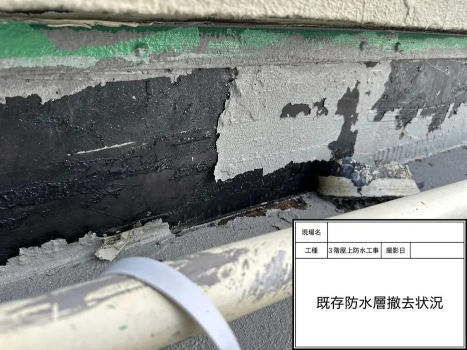 画像383