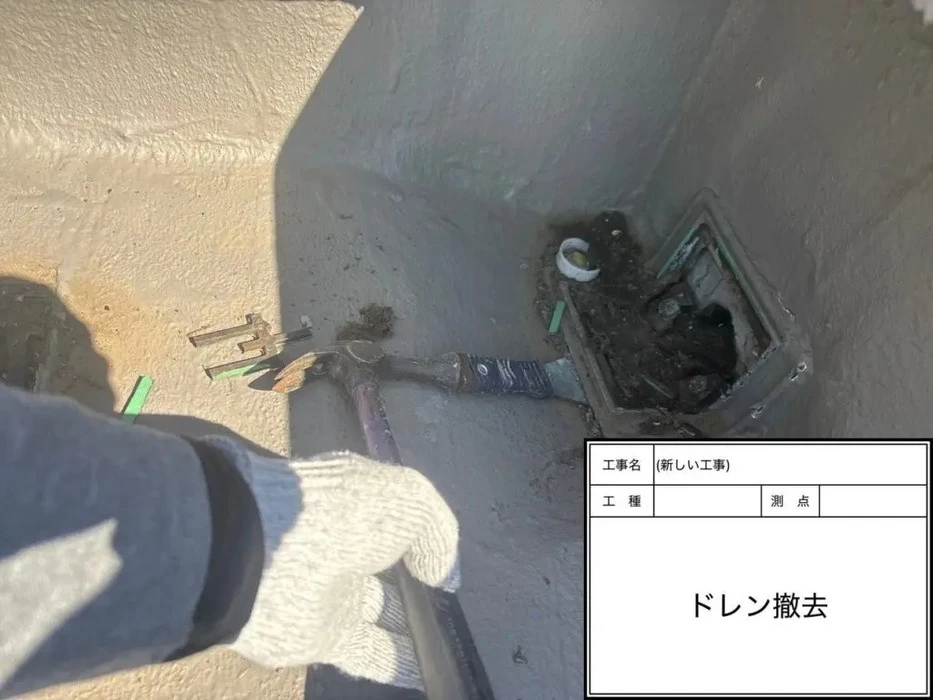 画像384