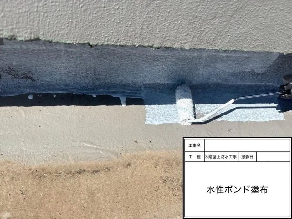 画像386