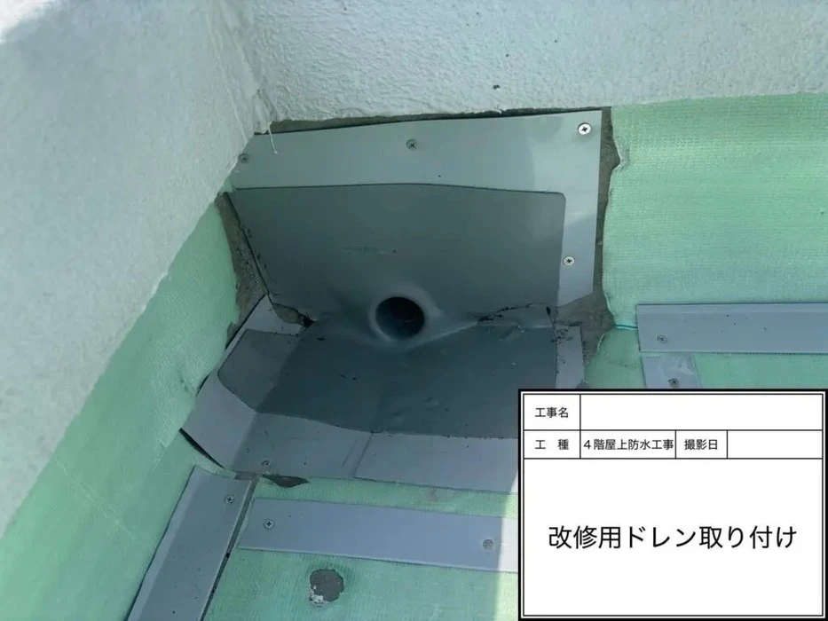 画像404