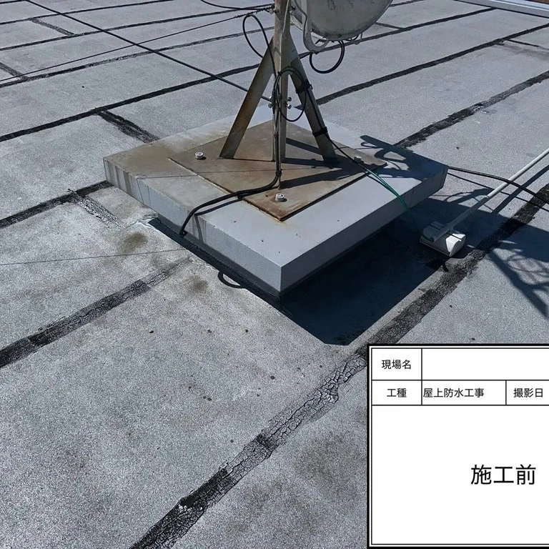 画像423