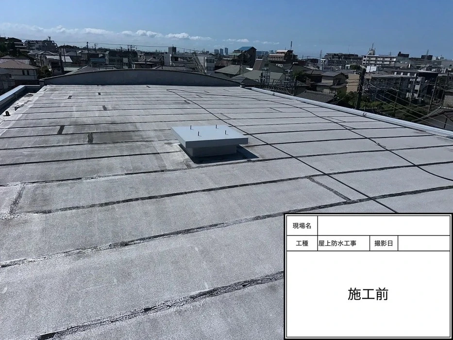 画像424