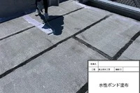 画像436