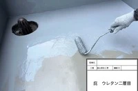 画像444