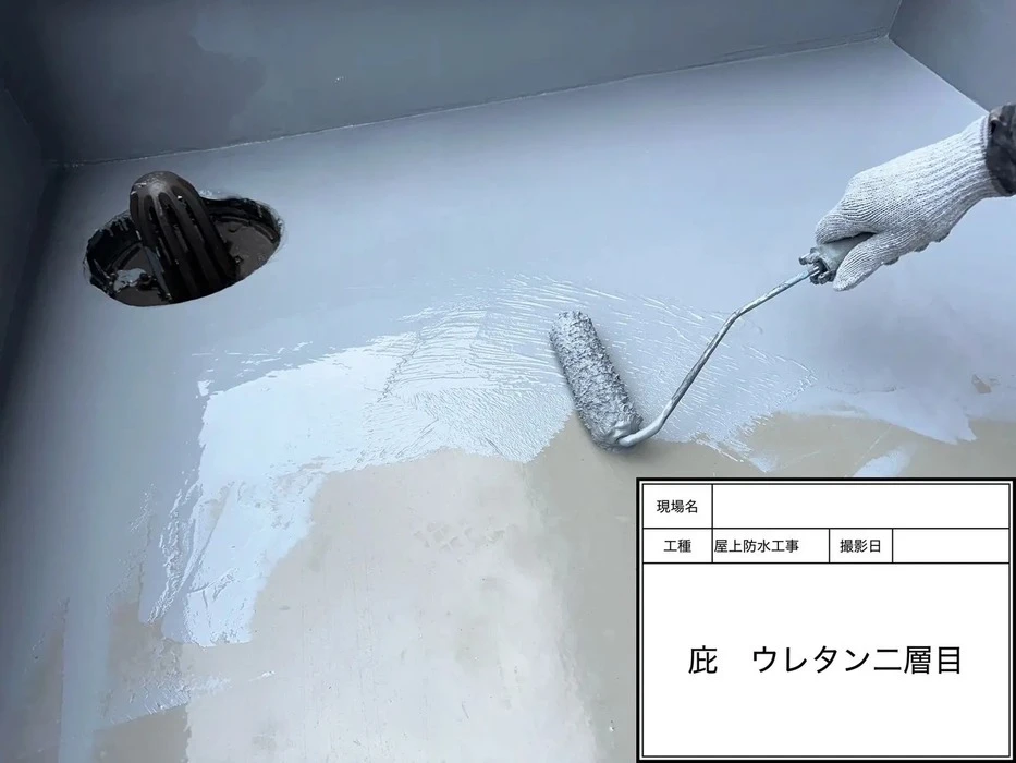 画像444