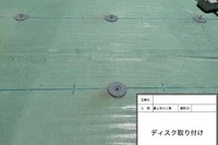 画像446