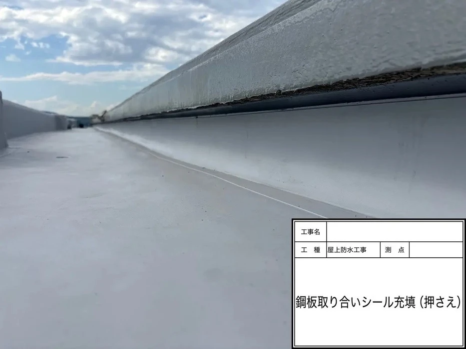 画像481