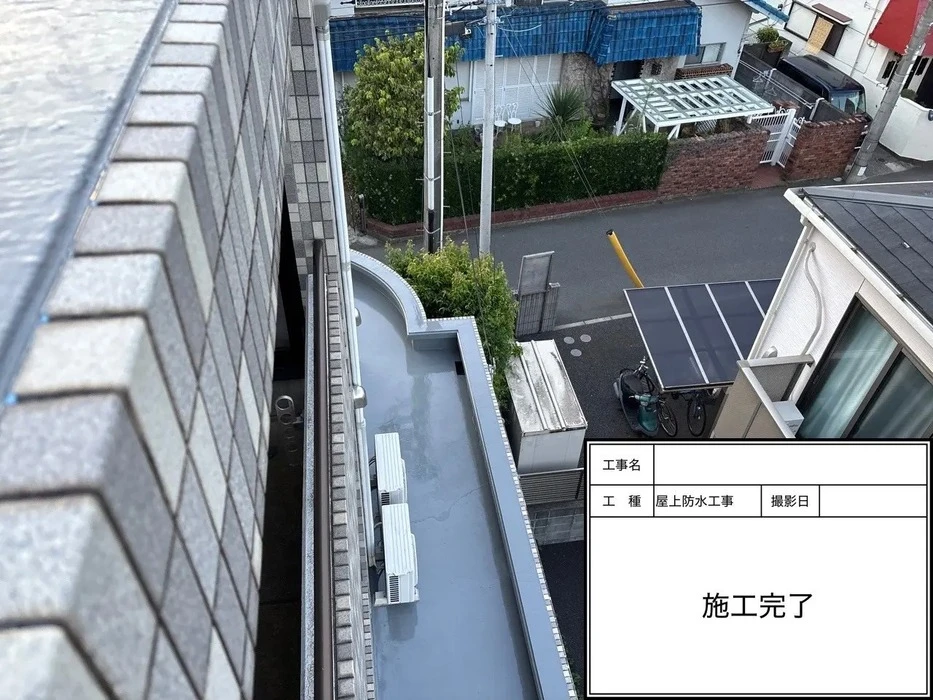 画像494