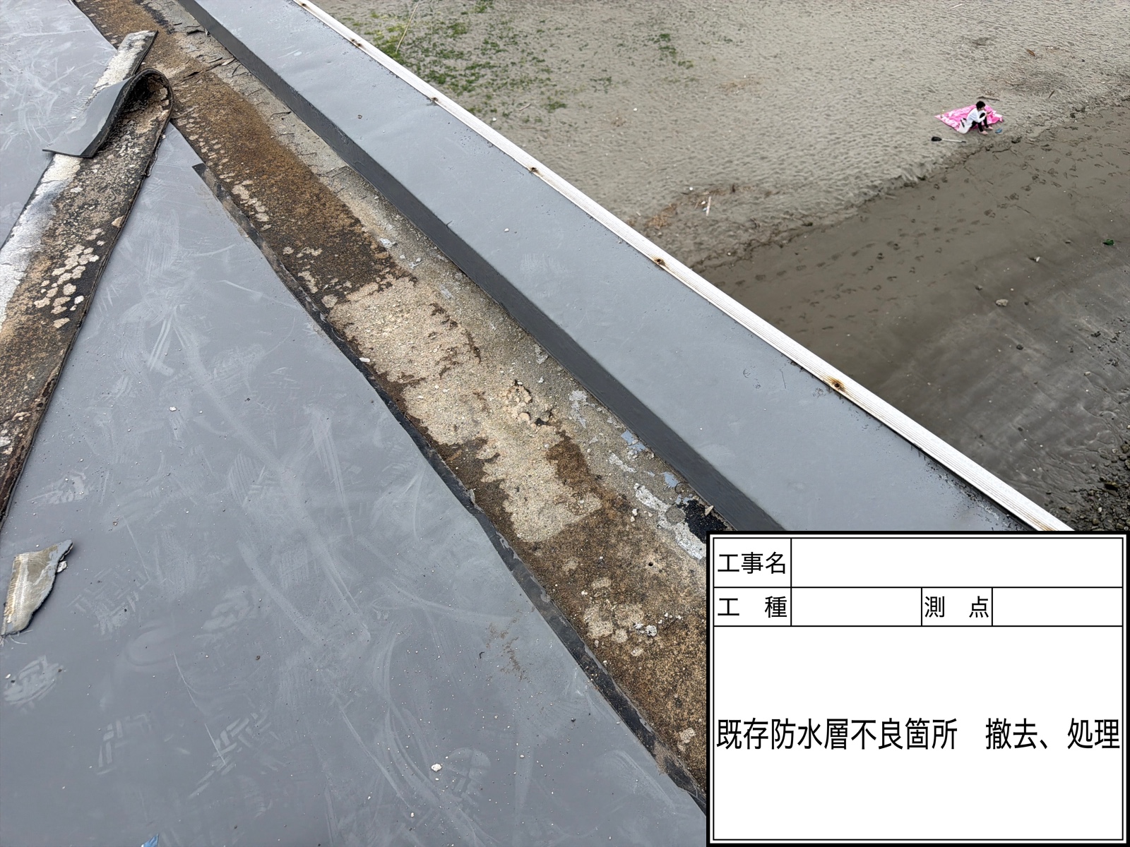 定期的な点検の重要性