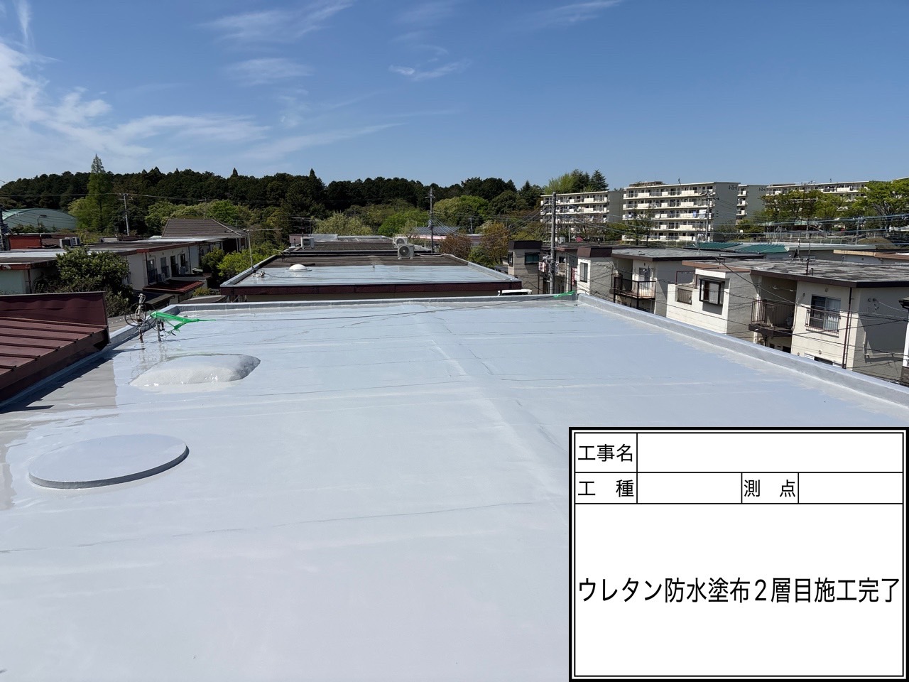 5. お客様の声